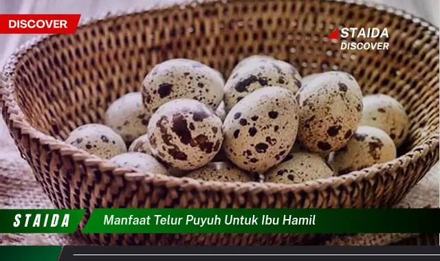 Temukan Manfaat Telur Puyuh untuk Ibu Hamil yang Jarang Diketahui