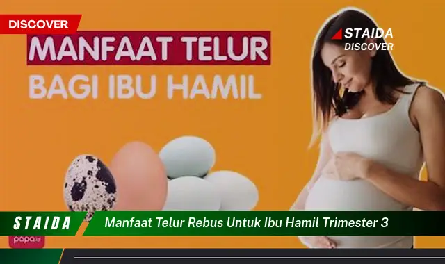 Temukan Manfaat Telur Rebus untuk Ibu Hamil Trimester 3 yang Jarang Diketahui!