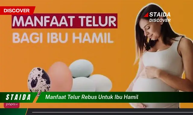 Temukan Manfaat Telur Rebus untuk Ibu Hamil yang Jarang Diketahui