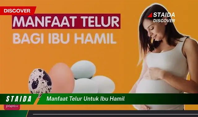 Temukan Manfaat Telur untuk Ibu Hamil yang Belum Banyak Diketahui