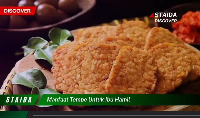 Temukan Manfaat Tempe untuk Ibu Hamil: Penemuan dan Wawasan yang Jarang Diketahui