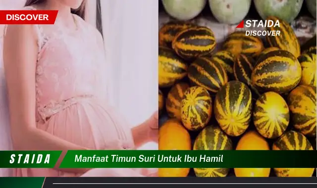 7 Manfaat Timun Suri untuk Ibu Hamil yang Jarang Diketahui