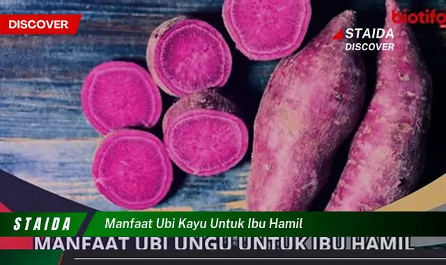 Temukan Manfaat Ubi Kayu untuk Ibu Hamil yang Jarang Diketahui