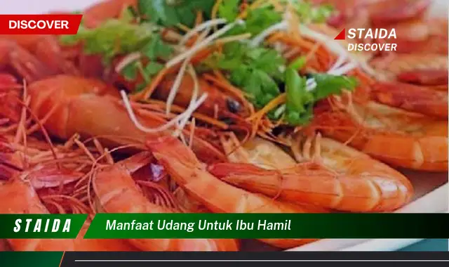 Temukan 7 Manfaat Udang untuk Ibu Hamil yang Jarang Diketahui