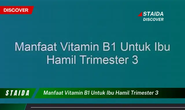 7 Manfaat Vitamin B1 untuk Ibu Hamil Trimester 3 yang Perlu Diketahui