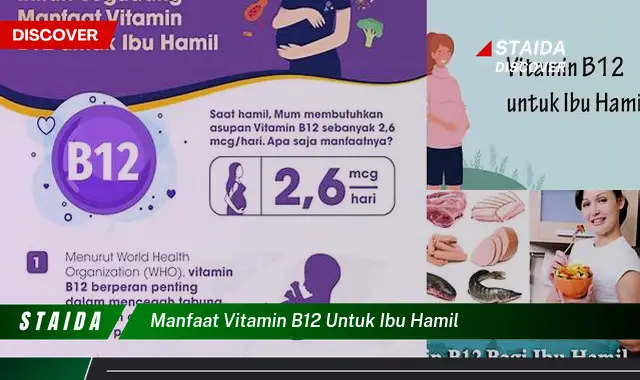 Temukan Manfaat Vitamin B12 untuk Ibu Hamil yang Jarang Diketahui