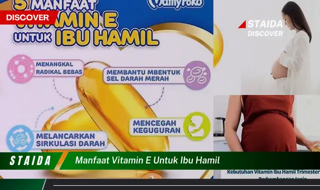 Temukan 7 Manfaat Vitamin E untuk Ibu Hamil yang Jarang Diketahui