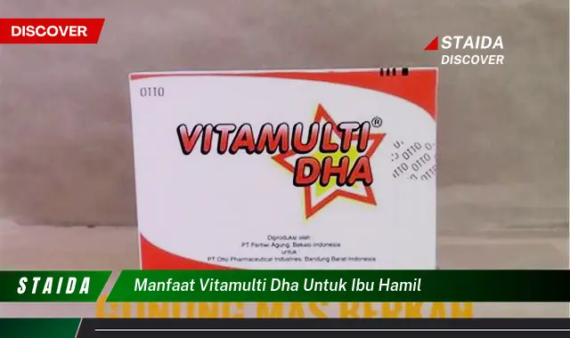 Temukan 7 Manfaat Vitamulti DHA untuk Ibu Hamil