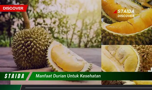 Temukan 7 Manfaat Durian untuk Kesehatan yang Jarang Diketahui