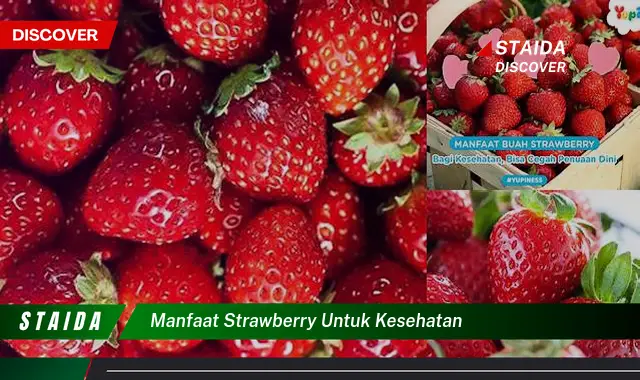 Manfaat Strawberry Tersembunyi yang Jarang Diketahui