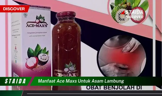 Temukan Rahasia Ace Maxs untuk Asam Lambung yang Belum Diketahui