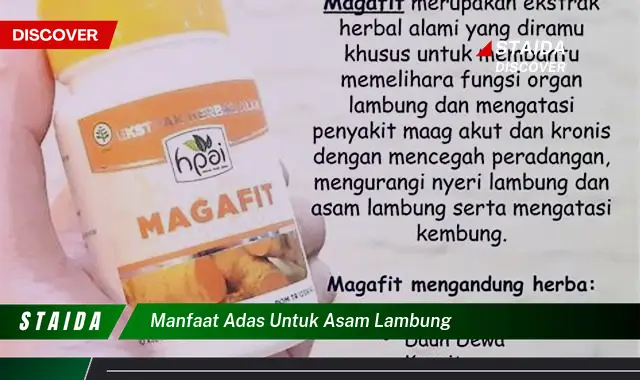 Temukan Manfaat Adas yang Jarang Diketahui untuk Asam Lambung