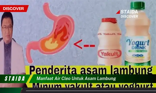 7 Manfaat Air Cleo untuk Asam Lambung yang Jarang Diketahui