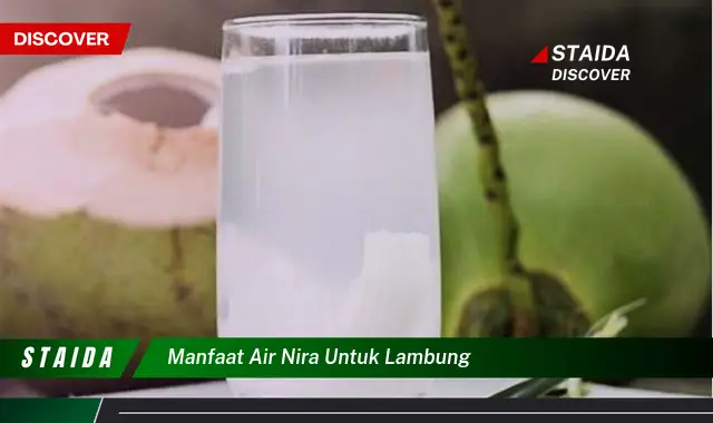 Temukan 7 Manfaat Air Nira untuk Lambung yang Perlu Anda Ketahui