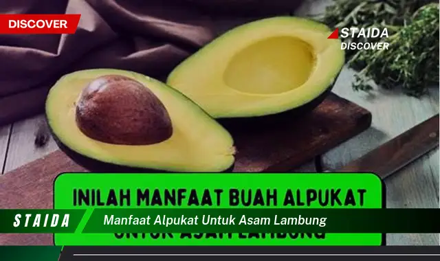 Temukan Manfaat Alpukat untuk Asam Lambung yang Jarang Diketahui