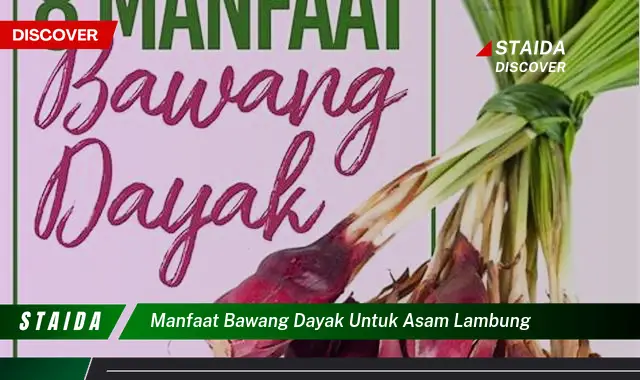 Temukan 7 Manfaat Bawang Dayak untuk Asam Lambung yang Mengejutkan