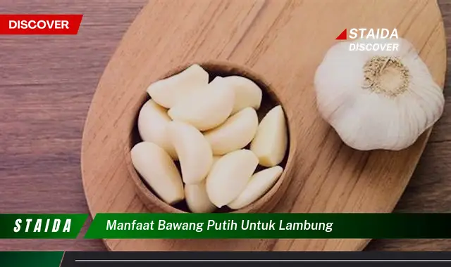 Temukan Rahasia Bawang Putih untuk Kesehatan Lambung yang Jarang Diketahui