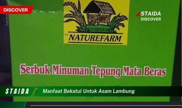 Temukan Rahasia Manfaat Bekatul untuk Asam Lambung yang Jarang Diketahui