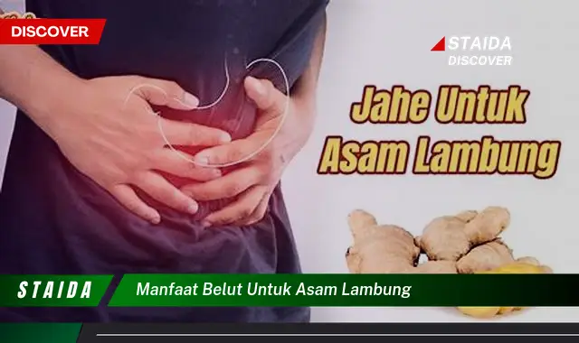 7 Khasiat Belut untuk Asam Lambung yang Jarang Diketahui