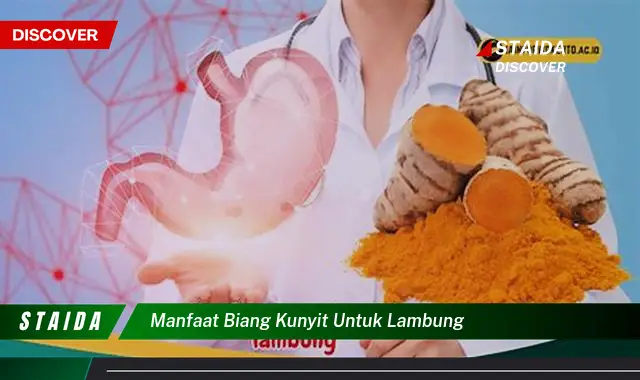 Temukan Manfaat Biang Kunyit untuk Lambung yang Jarang Diketahui