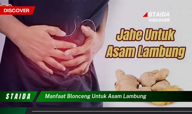 Temukan Khasiat Blonceng untuk Asam Lambung yang Jarang Diketahui