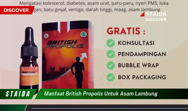 Temukan Khasiat British Propolis yang Jarang Diketahui untuk Asam Lambung