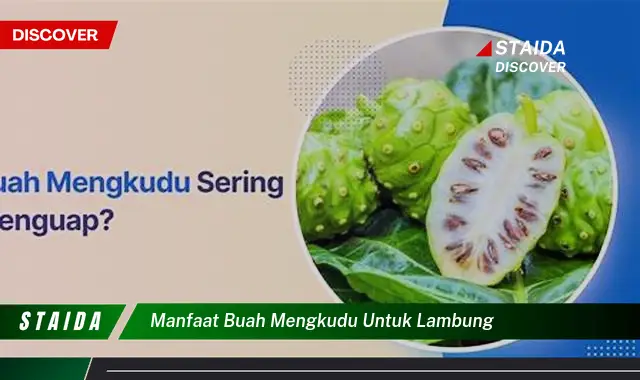 Inilah 7 Khasiat Buah Mengkudu untuk Lambung yang Jarang Diketahui