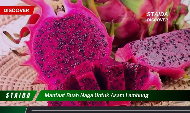 Temukan Rahasia Manfaat Buah Naga untuk Asam Lambung, Jarang Diketahui!