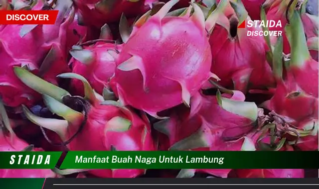 Temukan Khasiat Buah Naga untuk Lambung yang Jarang Diketahui