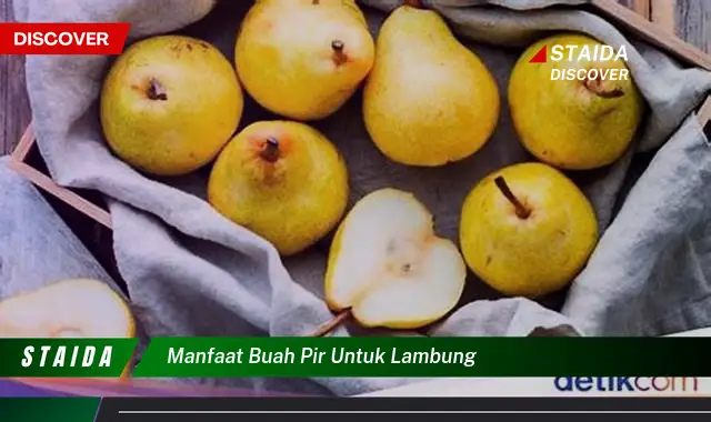 Temukan 7 Manfaat Buah Pir untuk Lambung yang Belum Banyak Diketahui