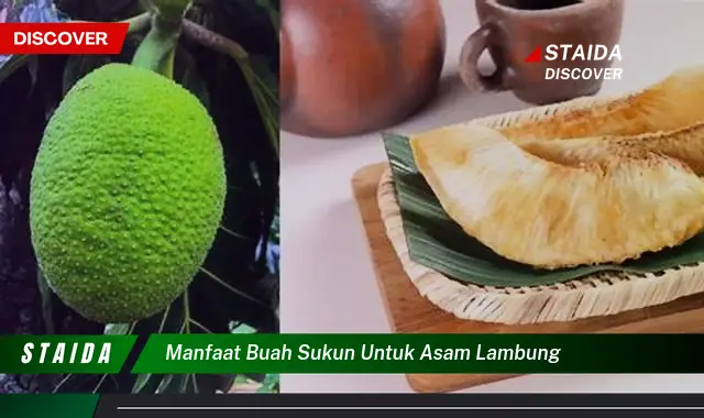 Temukan Rahasia Manfaat Buah Sukun untuk Asam Lambung yang Jarang Diketahui