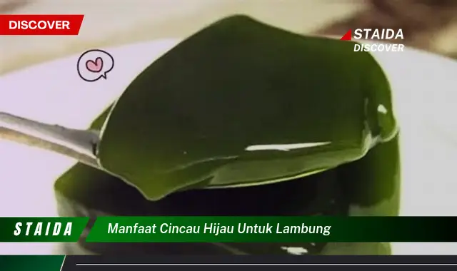 Ungkap Manfaat Cincau Hijau untuk Lambung yang Jarang Diketahui