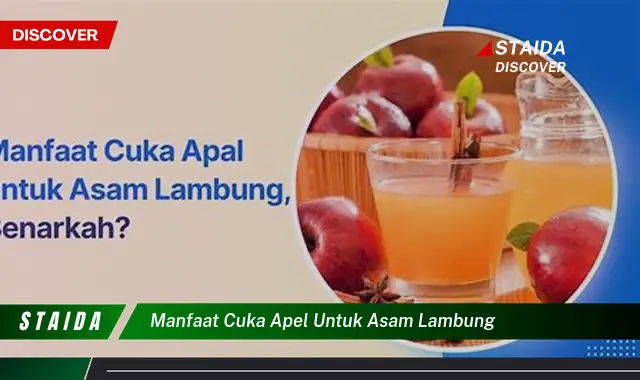 7 Manfaat Cuka Apel untuk Asam Lambung yang Jarang Diketahui