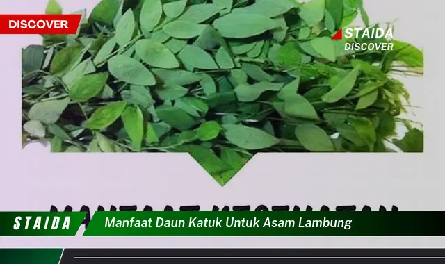 Temukan Manfaat Daun Katuk untuk Lambung yang Jarang Diketahui