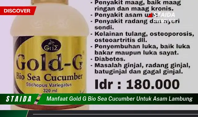 Temukan 7 Manfaat Gold G Bio Sea Cucumber untuk Asam Lambung yang Jarang Diketahui