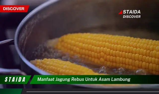 Temukan 7 Manfaat Jagung Rebus untuk Asam Lambung yang Jarang Diketahui