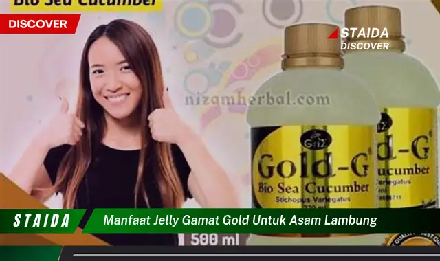 Temukan 7 Manfaat Jelly Gamat Gold untuk Lambung yang Jarang Diketahui