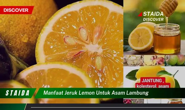 7 Manfaat Jeruk Lemon untuk Lambung yang Jarang Diketahui