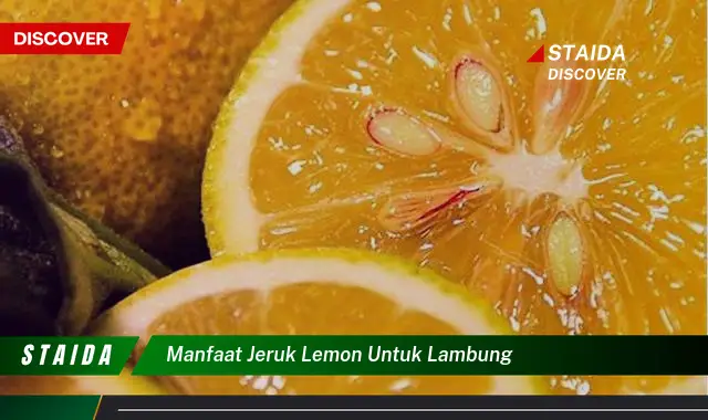 Temukan Rahasia Manfaat Jeruk Lemon untuk Lambung yang Jarang Diketahui