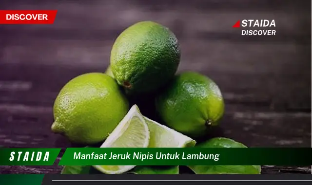 Temukan 7 Manfaat Jeruk Nipis untuk Lambung yang Jarang Diketahui