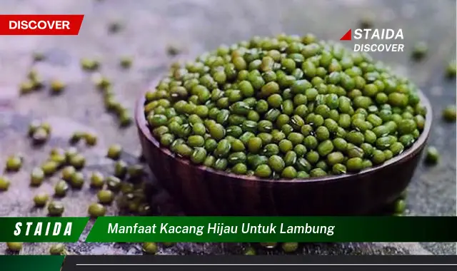 Terungkap, 7 Manfaat Kacang Hijau untuk Lambung yang Jarang Diketahui