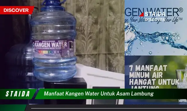 Temukan 7 Manfaat Air Kangen untuk Asam Lambung yang Jarang Diketahui