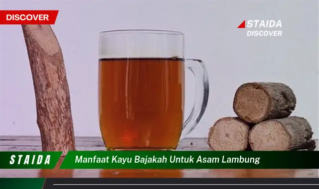 Temukan 7 Manfaat Kayu Bajakah untuk Asam Lambung yang Jarang Diketahui