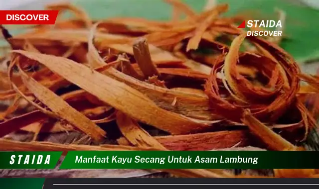 Temukan 7 Manfaat Kayu Secang untuk Asam Lambung yang Jarang Diketahui