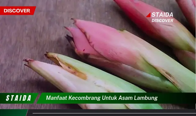 Temukan Manfaat Kecombrang untuk Asam Lambung yang Jarang Diketahui