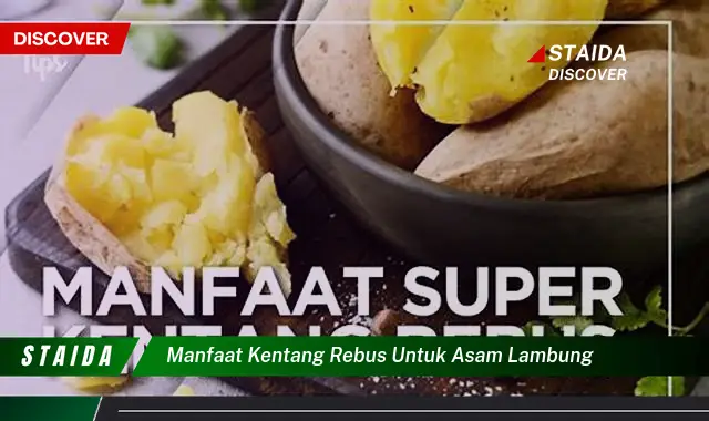 7 Manfaat Kentang Rebus untuk Asam Lambung yang Jarang Diketahui