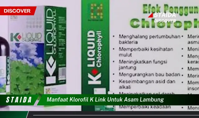 Temukan 7 Manfaat Klorofil K-Link untuk Asam Lambung yang Jarang Diketahui