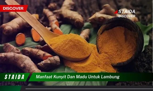 Temukan Khasiat Kunyit dan Madu untuk Lambung yang Jarang Diketahui