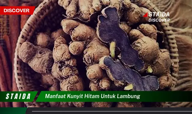 Temukan Manfaat Kunyit Hitam untuk Lambung yang Jarang Diketahui