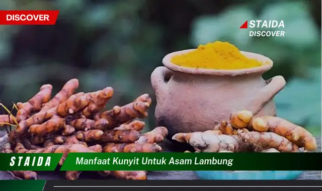 Temukan Manfaat Kunyit untuk Asam Lambung yang Jarang Diketahui